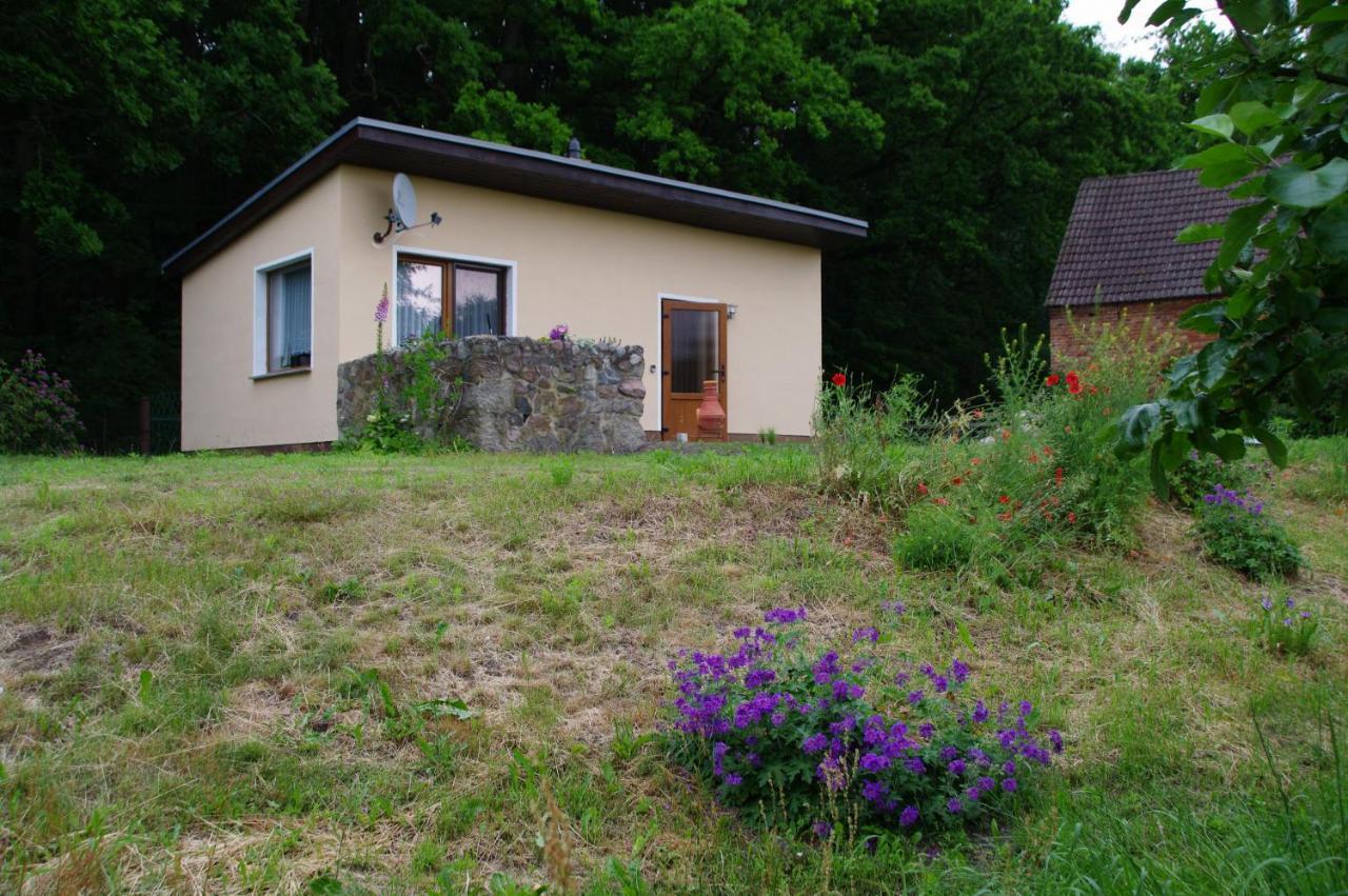 Bungalow Am Forsthaus Stagniess Ückeritz Exterior foto